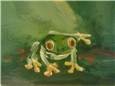 Another frog!
