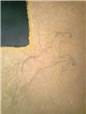 Wall sketches of Virgo, Lupus, Leo, Pavo, Cetus, Argo and Hydra.

Sketches on paper are done, now it's time to put them on the wall. I used a couple of different sky map apps on my phone to place the constellations in the room. One of the apps allowed you to set a date and time in the future so I picked Arianna's due date and used that as my reference. A little fudging had to be done in order to get some of the constellations to fit up on the wall (the app showed their placement on the floor).

More artistic license was taken with Cetus, Argo and Hydra. While doing research I had seen an old star map where the sea monster Cetus was drawn as a whale. As this mural is for a baby's room, I didn't want scary, monsters images on the walls so the interpretation of a whale was perfect.

Argo Navis is an ancient constellation of the southern hemisphere that has since been broken up into three separate constellations (Carnia, Vela and Puppis). As Madeline's room has a ship, I wanted one in Arianna's room too. I'm also enamored with the story/poem of "Wynken, Blynken, and Nod" which mixes aspects of the stars with the sea. Argo seemed like an excellent constellation to add and made a nice way to interpret a nearby constellation Hydra. Again, I didn't want to add a multi-headed monster to a child's room so an octopus seemed like a good compromise. If she ever asks we planned to tell her the giant octopus is giving the ship a hug.