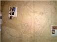 Wall sketches of Virgo, Lupus, Leo, Pavo, Cetus, Argo and Hydra.

Sketches on paper are done, now it's time to put them on the wall. I used a couple of different sky map apps on my phone to place the constellations in the room. One of the apps allowed you to set a date and time in the future so I picked Arianna's due date and used that as my reference. A little fudging had to be done in order to get some of the constellations to fit up on the wall (the app showed their placement on the floor).

For next step I applied the feedback I was given by friends and I made some edits to the positioning and orientation of the images so that they flowed together. Because Virgo, Lupus, Leo, and Pavo (the peacock) were all so close together I felt they could be placed together so that they all interacted in some way. In my rendition of these constellations, Virgo is a Mother Earth like character watching over wolf and lion as they play. Instead of just adding a peacock to the pair of animals Virgo is wearing a gown of peacock feathers which also adds to the "of the Earth" feeling to her.