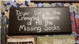 Cremated Socks