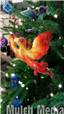 2017_1128_WingedFriends1.jpg