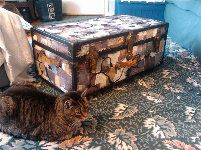 Completed trunk. Lore kitty approves.