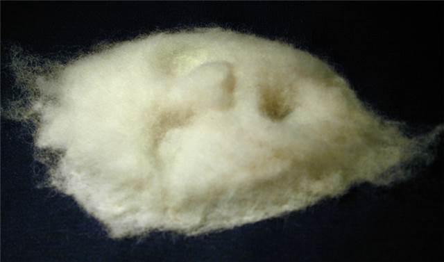 Sample felted face out of undied wool roving
