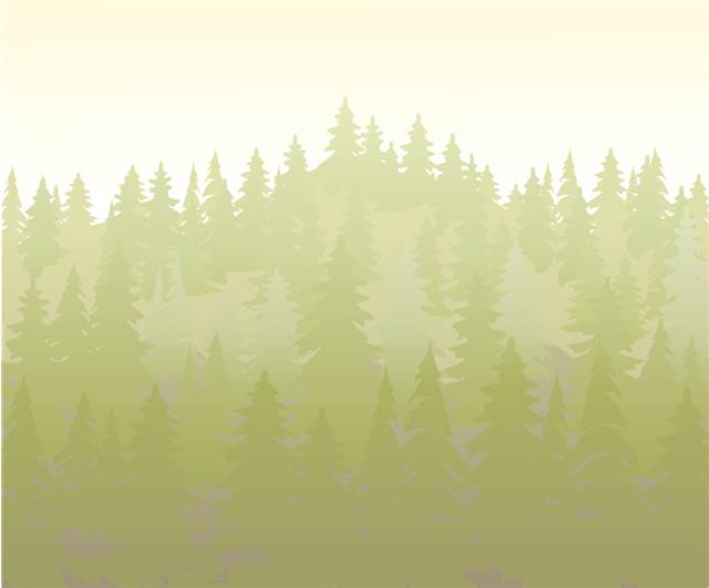 Forest
Crash Cart (iOS game) by Appsomniacs
https://itunes.apple.com/us/app/crash-cart/id665173771?mt=8